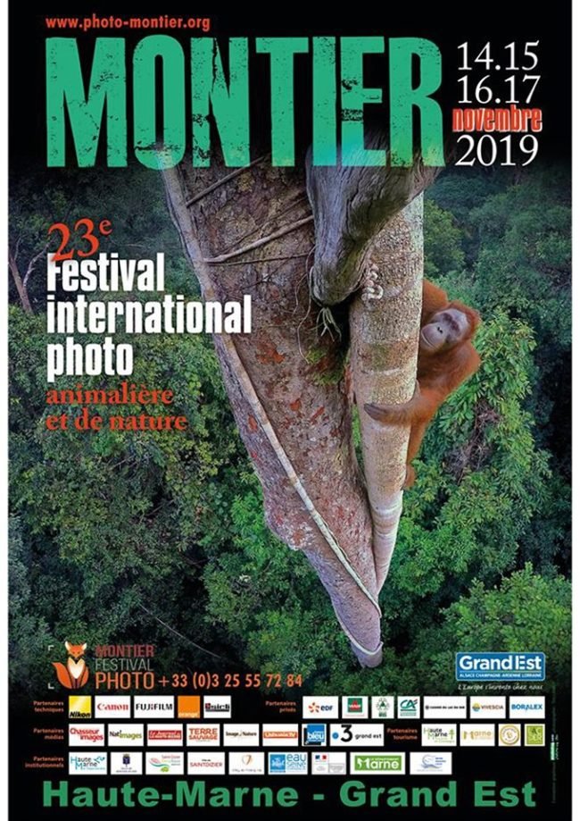 Montier en Der 2019