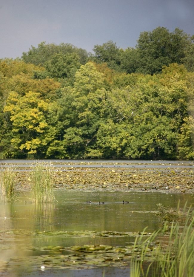 SITE 51 NATURA 2000