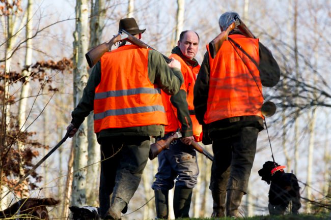 dgestim_actiondechasse_bois_fnc2013_9