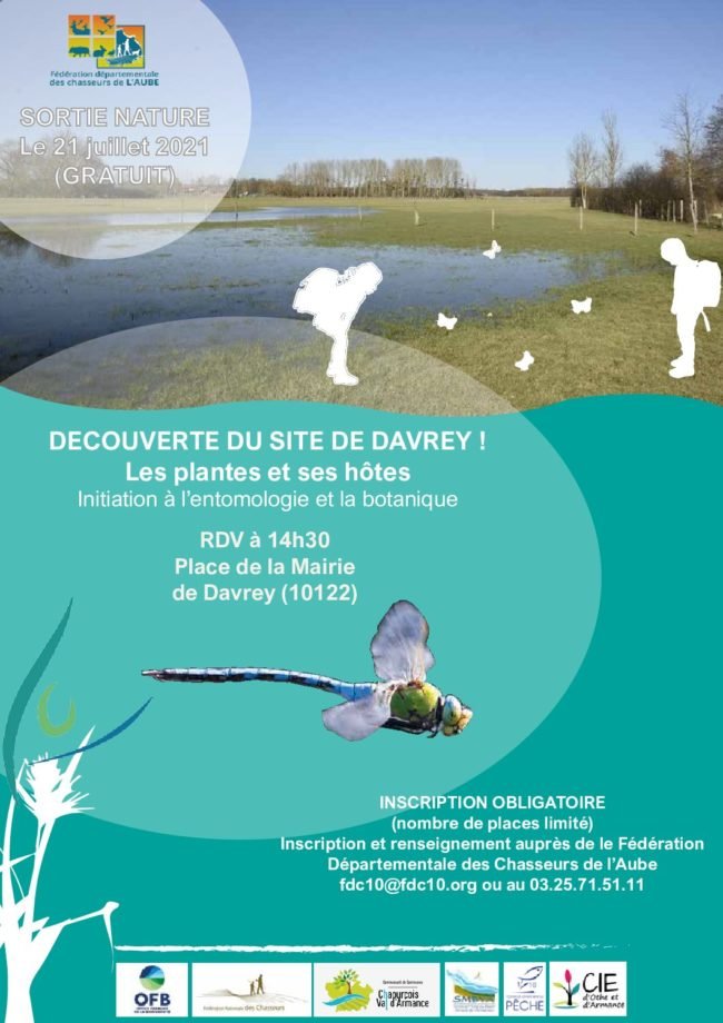 Davrey_sortie_insecte