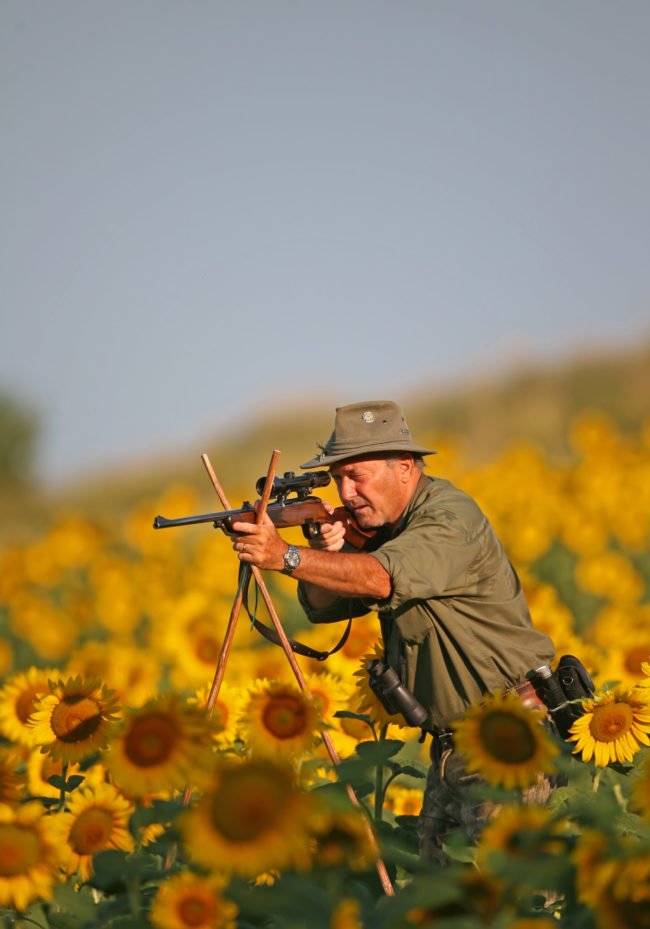 chasseapproche_dgest_fnc00003