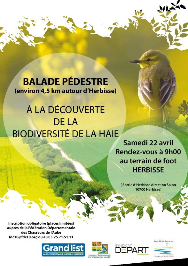 Balade pédestre Herbisse copie