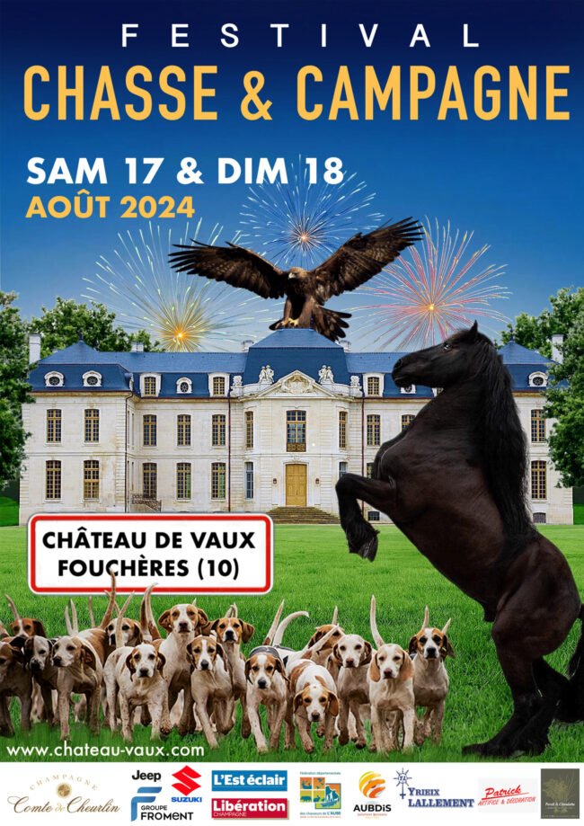 affiche