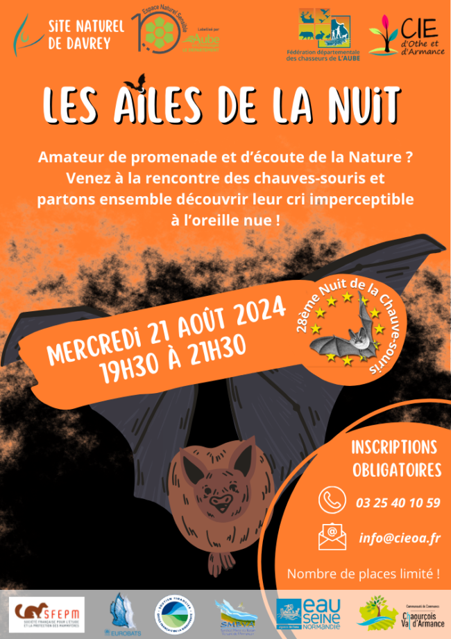 nuit chauve souris